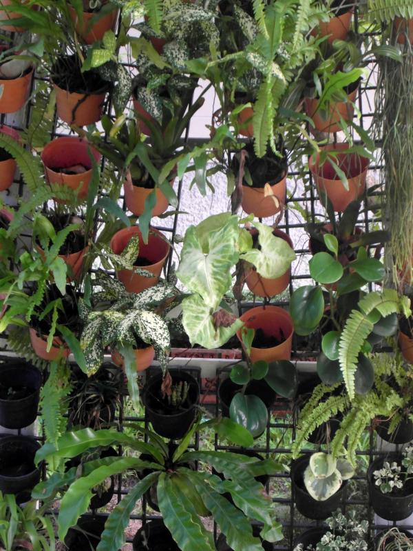 Vertical Garden