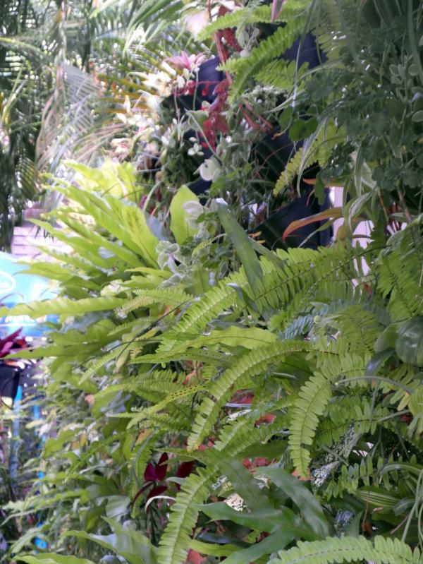 Vertical Garden