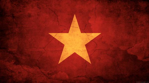 Vietnam Grunge Flag
