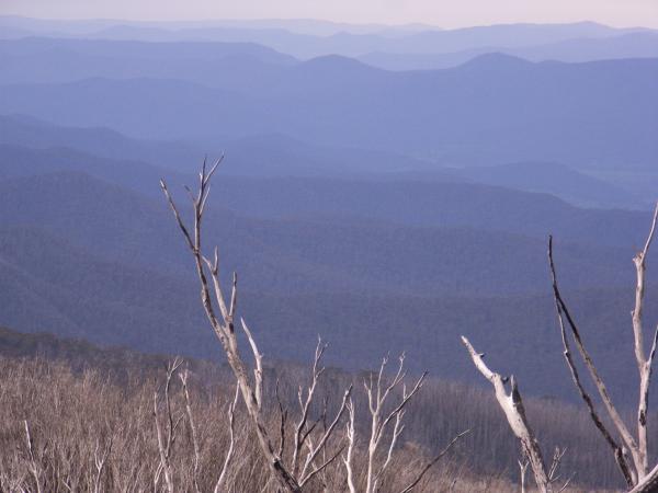 View form MT Bogong
