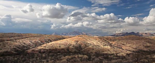 VIEW FROM THE HOUSE - 0255 (2-15-2017) -04