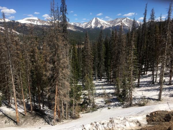 View from the Top