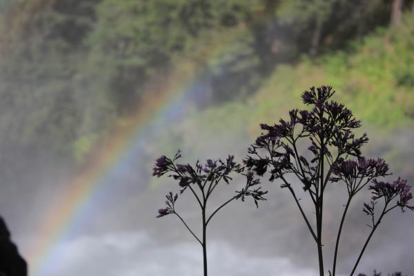 View of a Rainbow