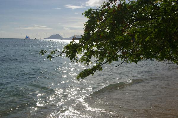 View of the beach