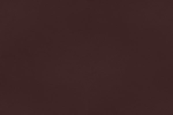 Viking Leather