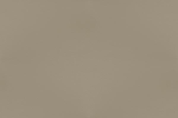 Viking Leather