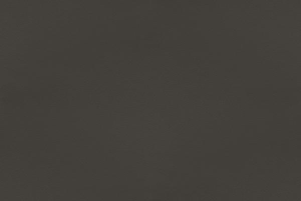 Viking Leather