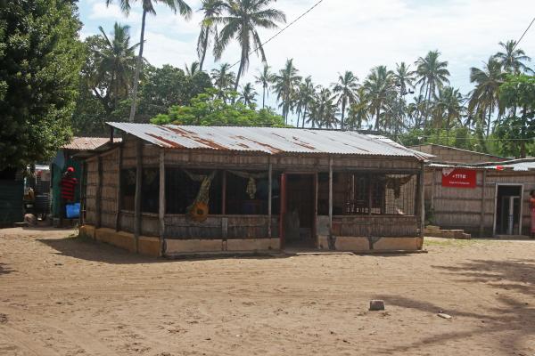 Village in the palm forest