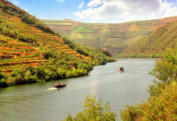 Vineyards on the Banks of Douro River - Douro Valley - Portugal