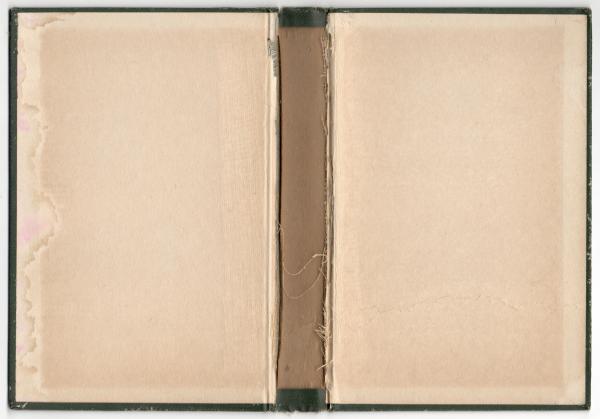 Vintage Book Texture