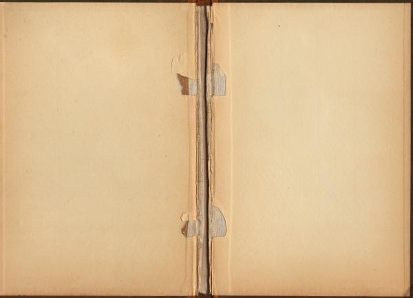 Vintage Book Texture