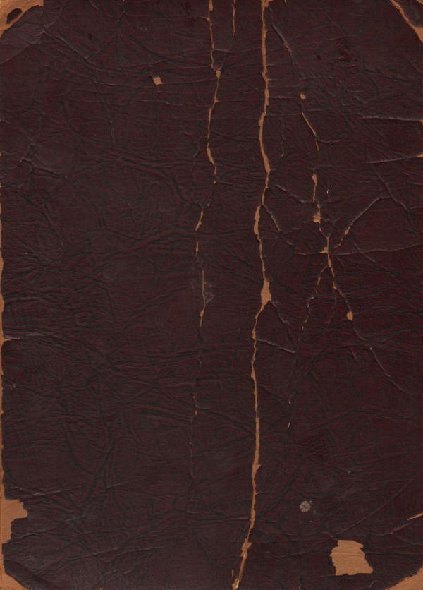 Vintage Book Texture