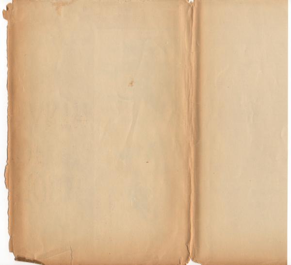 Vintage Paper Sleeve