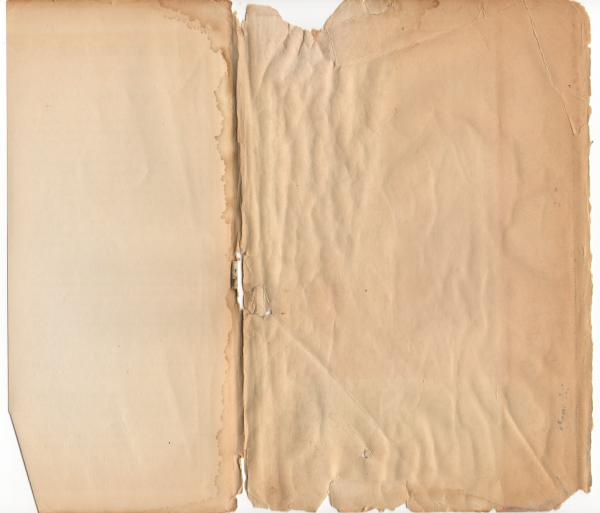 Vintage Paper Sleeve