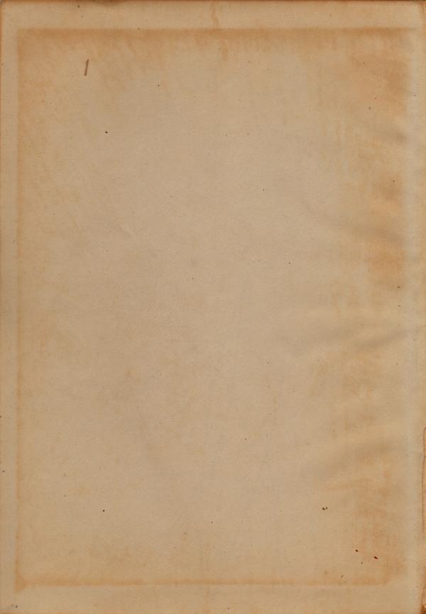 Vintage Paper Texture
