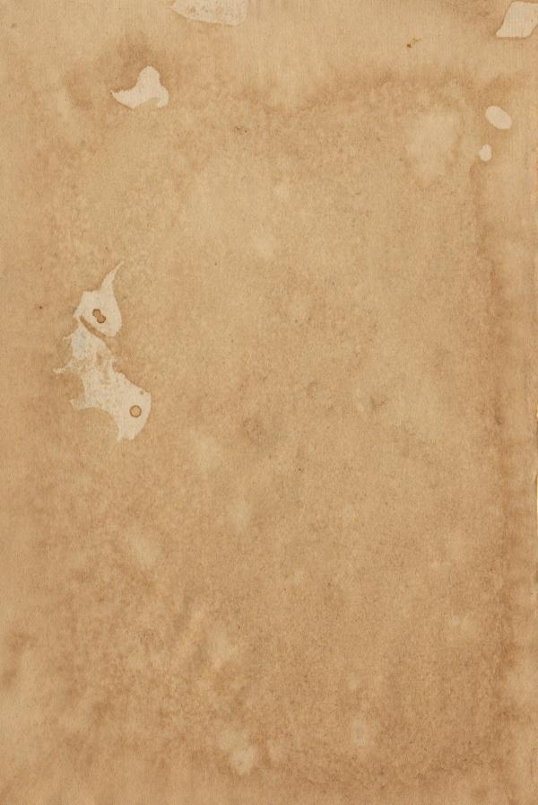 Vintage Paper Texture