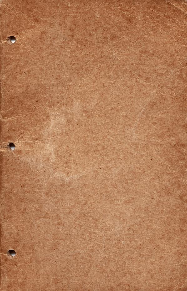 Vintage Perforated Notebook Cover - Sepi