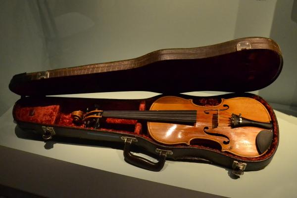 Violin
