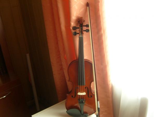 Violin