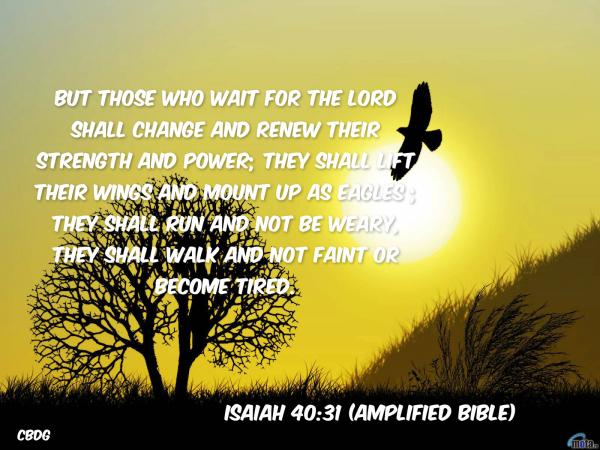 Waiting Renews Strength