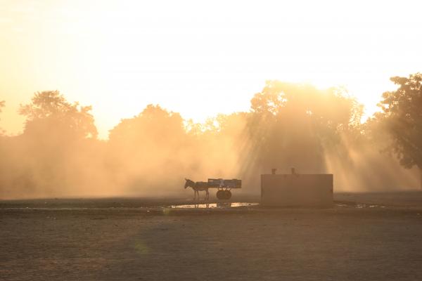 Waking up; fetchin water
