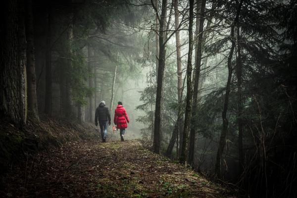 Walk in the Woods