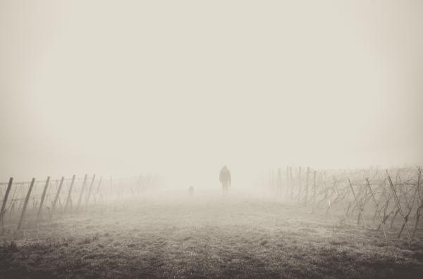 Walking Into The Mist