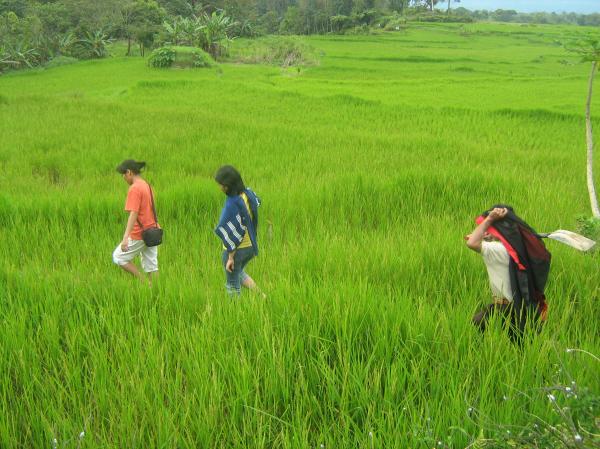 Walking the fields