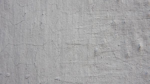 Wall