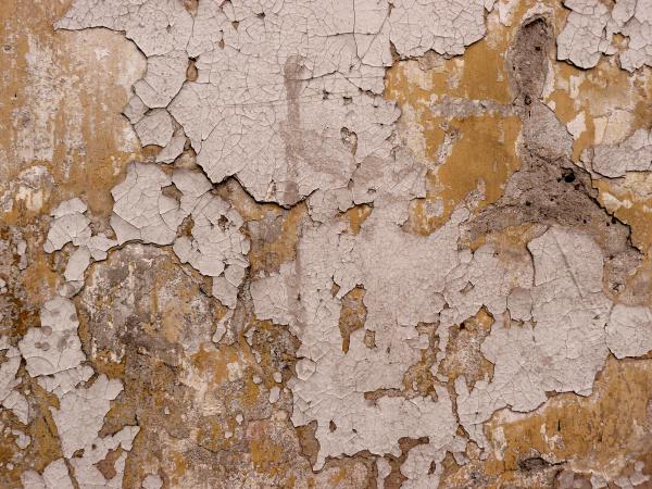 Wall texture