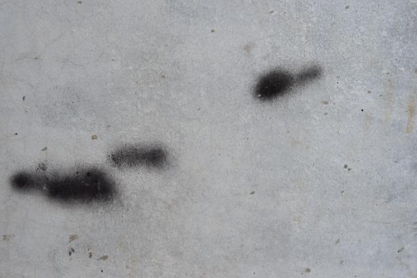 Wall texture with black spots