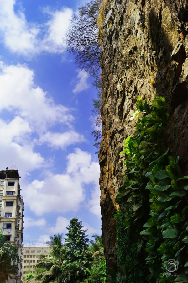 Wall vs nature