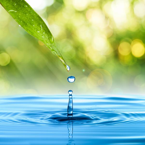Water drop experiments
