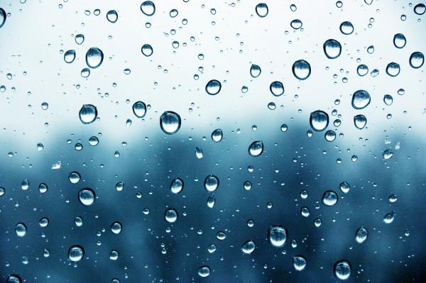 Water drops on a window