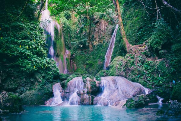 Water Falls in With Green Trees Photography