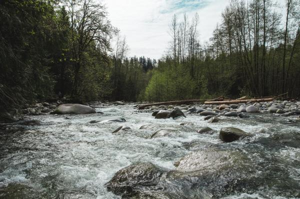 Water flows over rocks