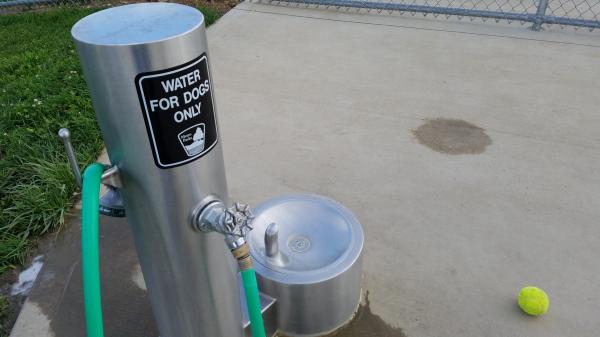 WATER FOR DOGS ONLY