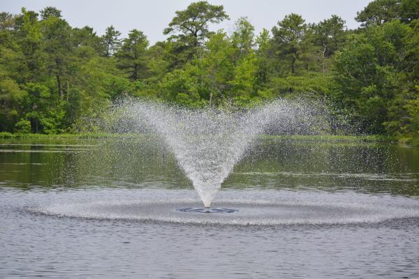 Water Fountain