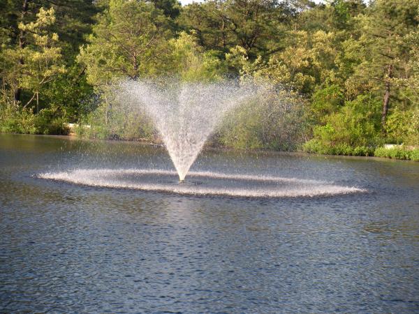 Water Fountain