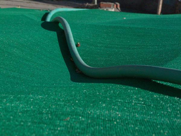 Water hose