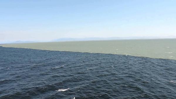 Water meets Ocean