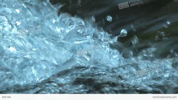 Water Movement