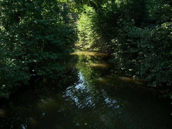 Water Path to the Light