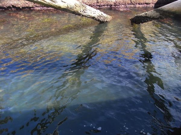 Water reflections
