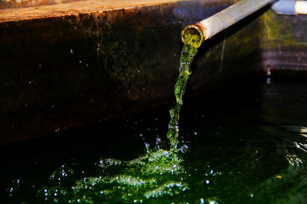 Water Splash