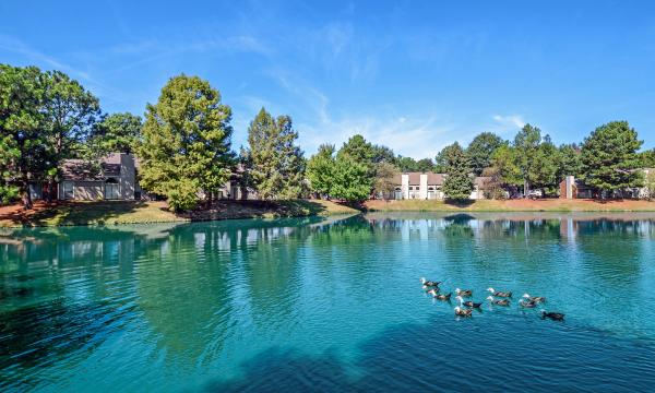 Water view
