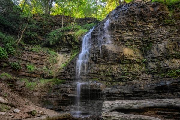 Waterfalls Coming from Forest Above