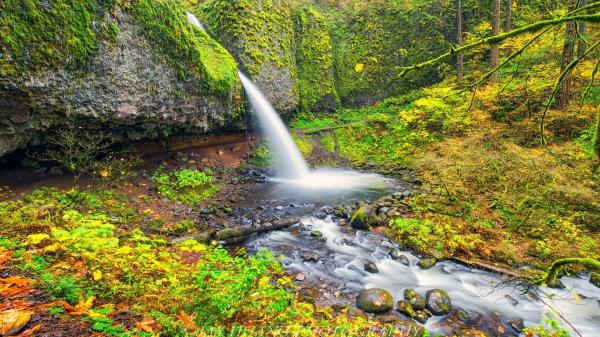 Waterfalls during Daytime