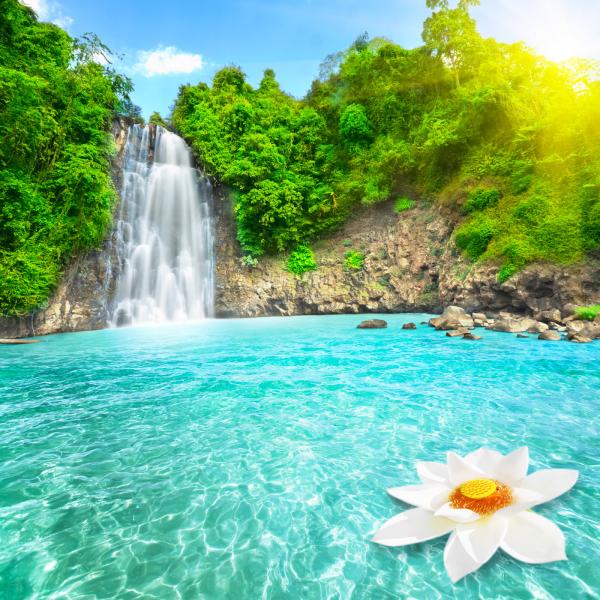 Waterfalls during Daytime