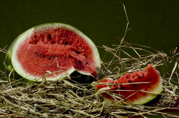 Watermelon